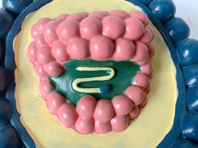 Anatomy Teaching Model Of Human Coronavirus Magnified Structure